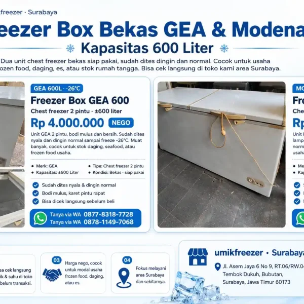 freezer box bekas GEA modena 600L surabaya
